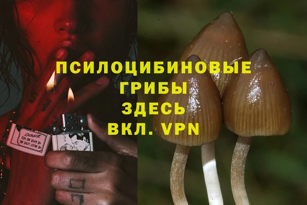 не бодяженный Алзамай
