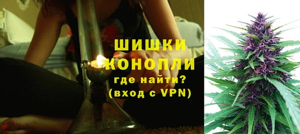 сатива Абаза